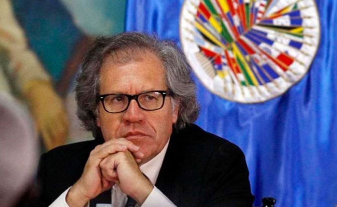 luisalmagro_4